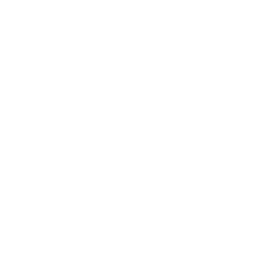 play icon